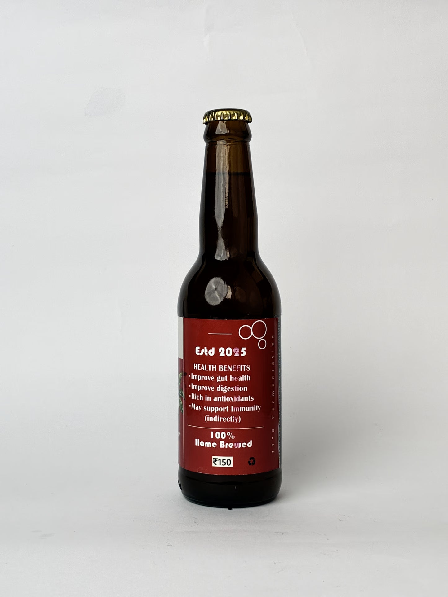 19°C Kombucha