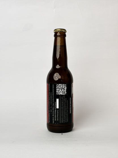 19°C Kombucha