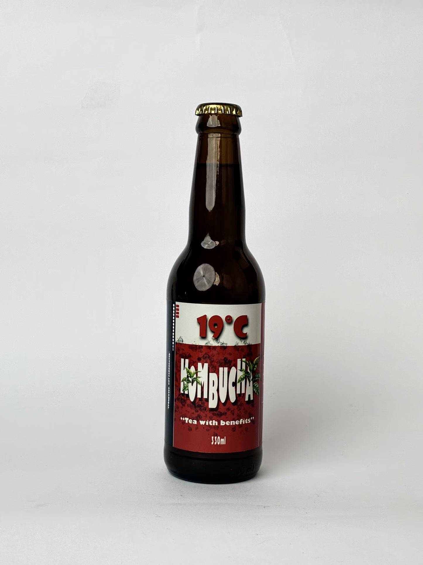 19°C Kombucha