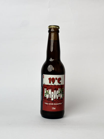 19°C Kombucha