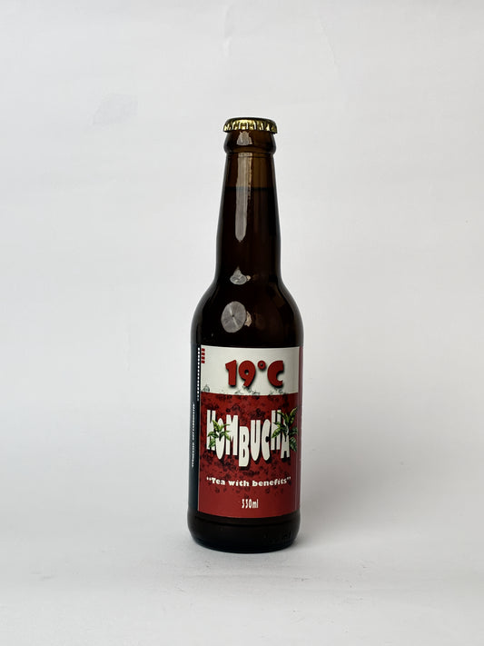 19°C Kombucha